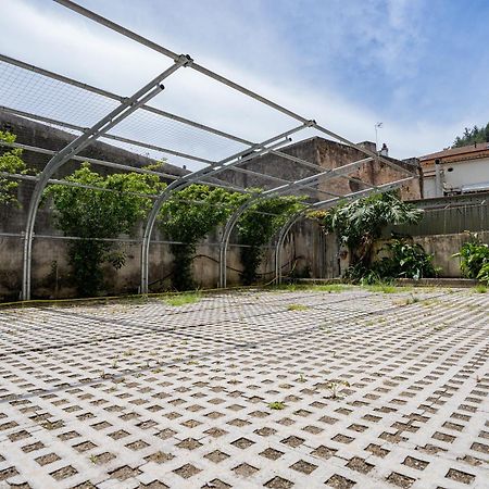 Giselle Apartments Maiori - Amalfi Coast Экстерьер фото